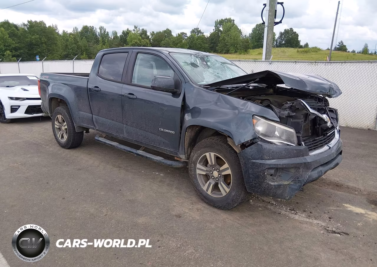 2017 Chevrolet Colorado 4Wd Wt – zdjęcie 1 z 15