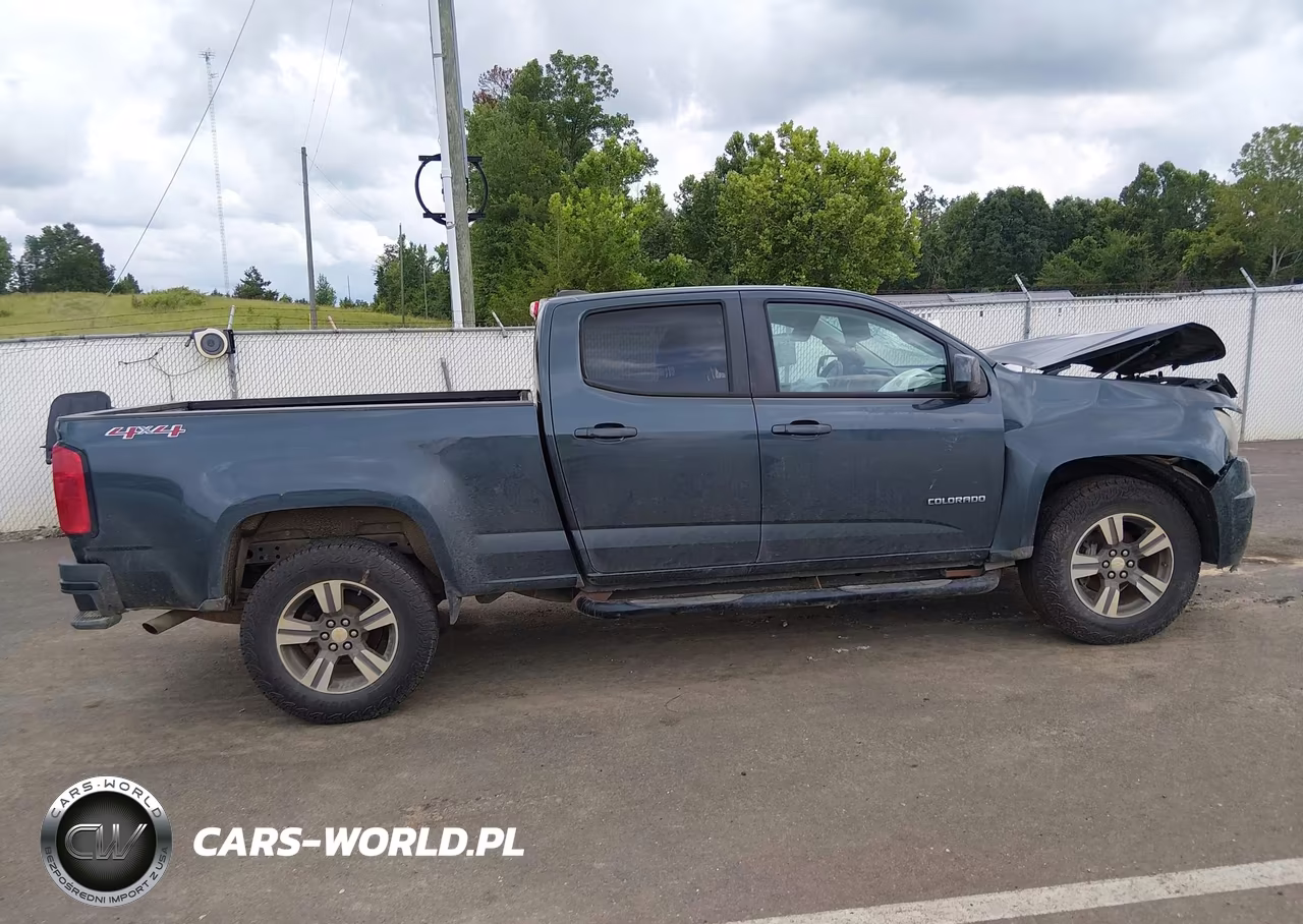 2017 Chevrolet Colorado 4Wd Wt VIN:1GCGTBEN1H1228567 - 12
