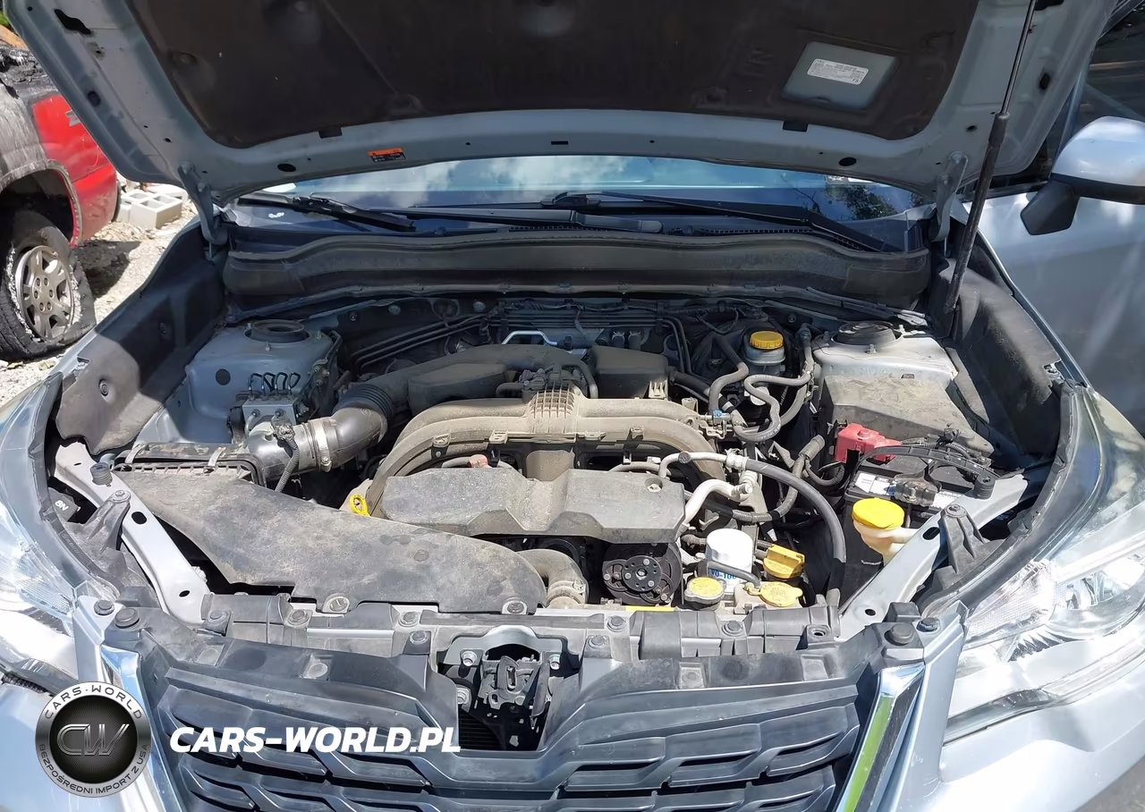 2018 Subaru Forester 2.5I Premium VIN:JF2SJAEC7JH593584 - 10