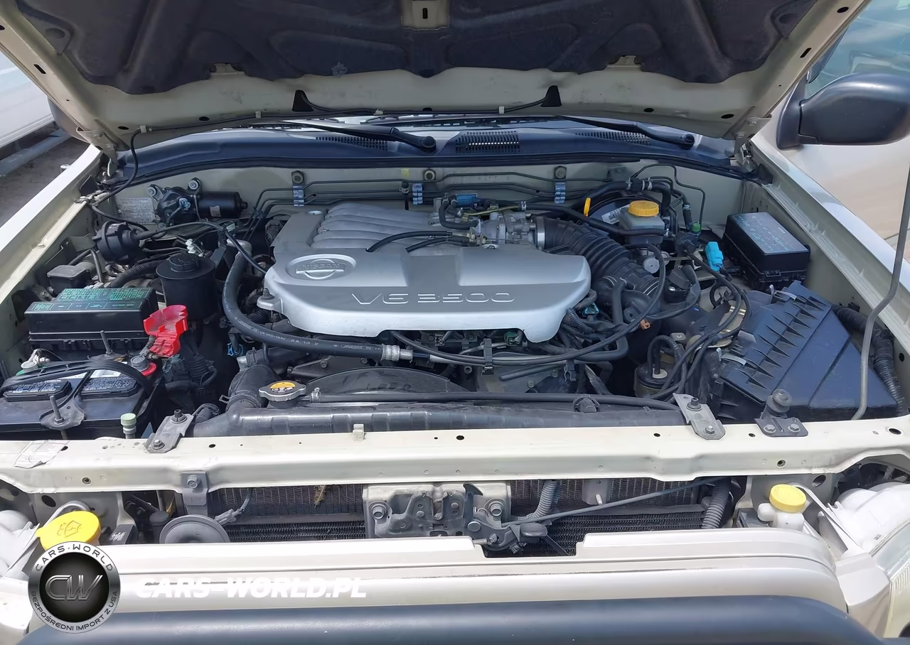 2001 Nissan Pathfinder Se VIN:JN8DR09XX1W563843 - 10