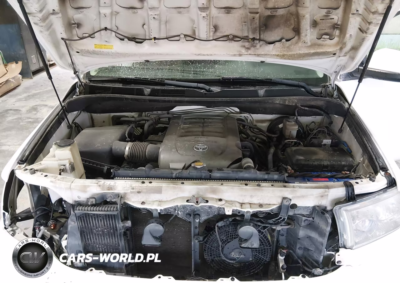 2008 Toyota Sequoia Sr5 5.7L V8 VIN:5TDBY64A98S013491 - 10