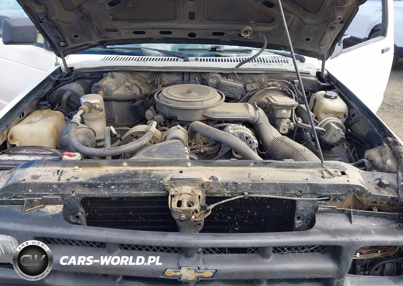 1993 Chevrolet S Truck S10 VIN:1GCCT19Z9P0123091 - 10