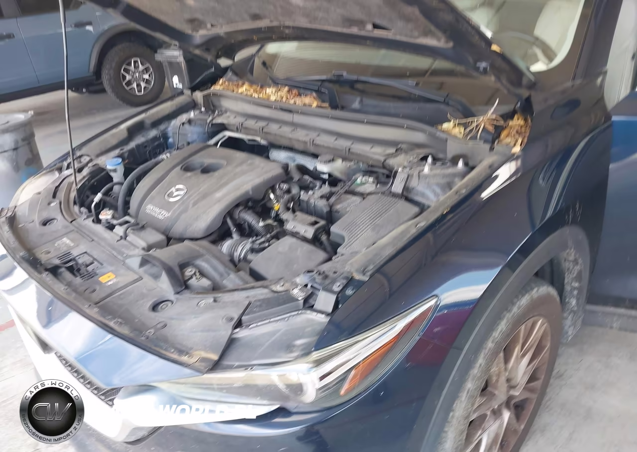 2019 Mazda Cx-5 Grand Touring VIN:JM3KFADM2K0623737 - 6