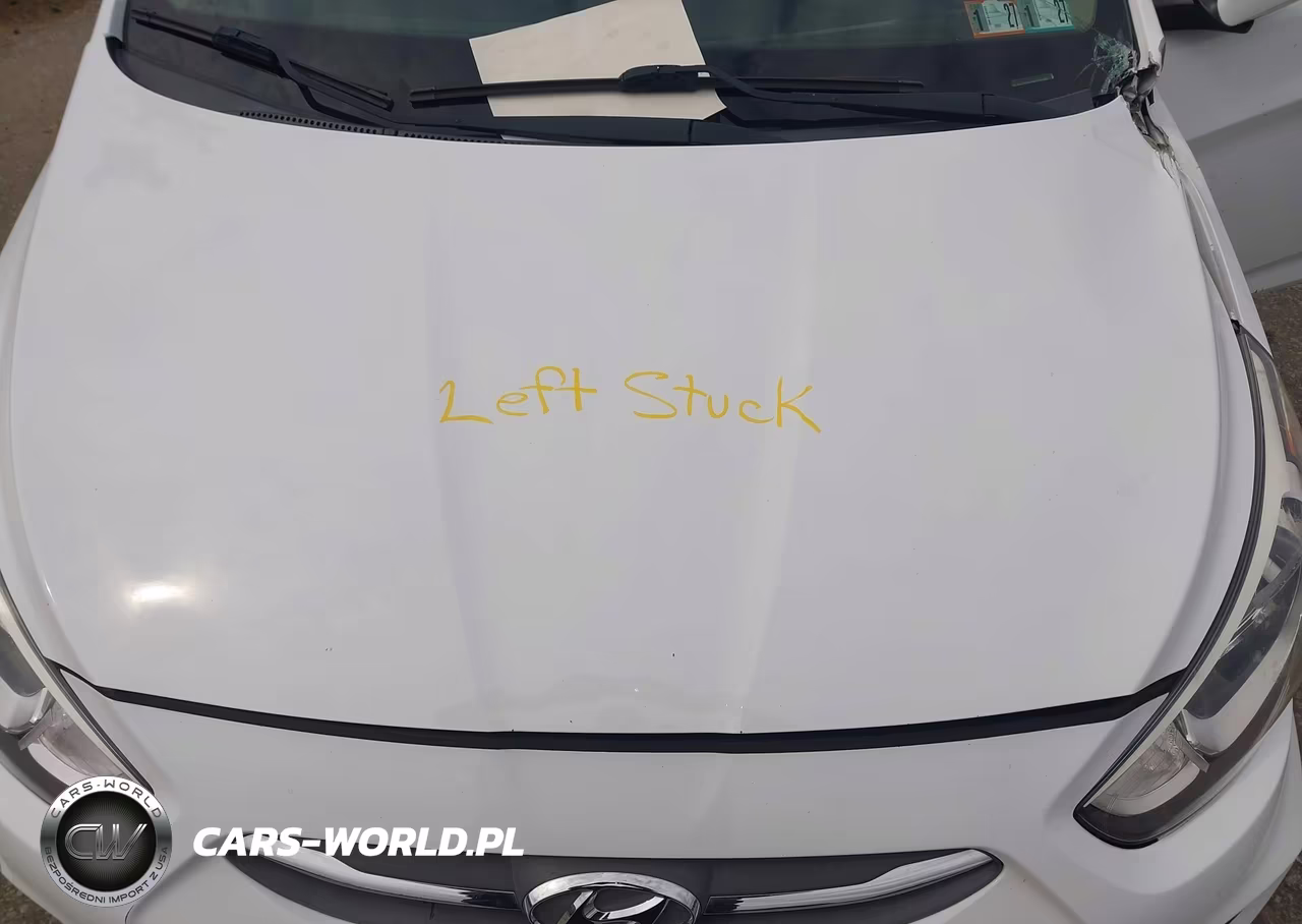 2017 Hyundai Accent Value Edition VIN:KMHCT4AE9HU334940 - 10