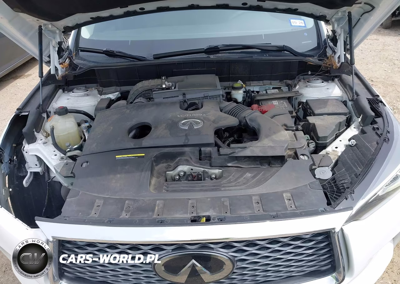 2020 Infiniti Qx50 Luxe VIN:3PCAJ5M11LF114483 - 10