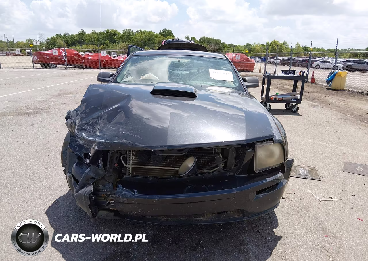 2007 Ford Mustang Gt Deluxe-Gt Premium VIN:1ZVFT82HX75198888 - 12