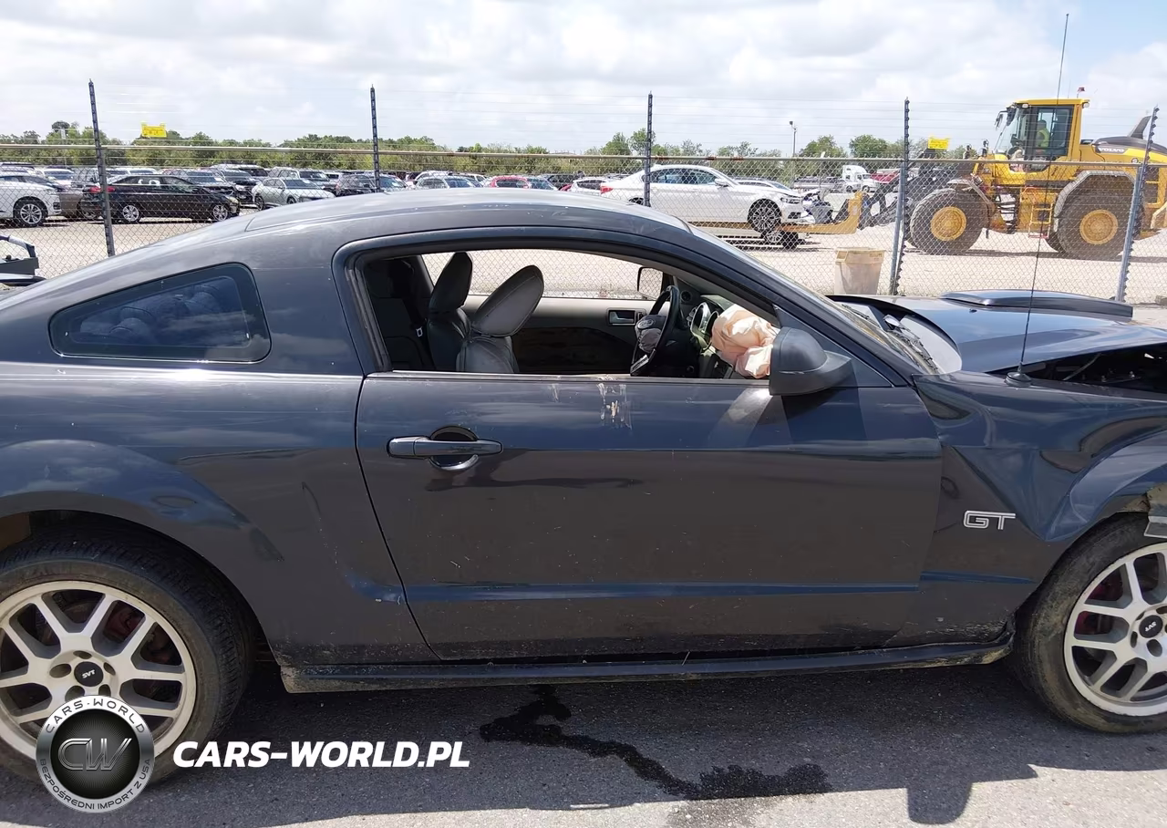 2007 Ford Mustang Gt Deluxe-Gt Premium VIN:1ZVFT82HX75198888 - 13