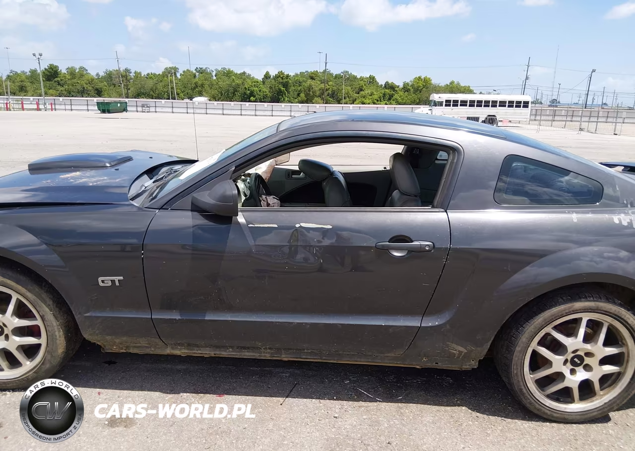2007 Ford Mustang Gt Deluxe-Gt Premium VIN:1ZVFT82HX75198888 - 14