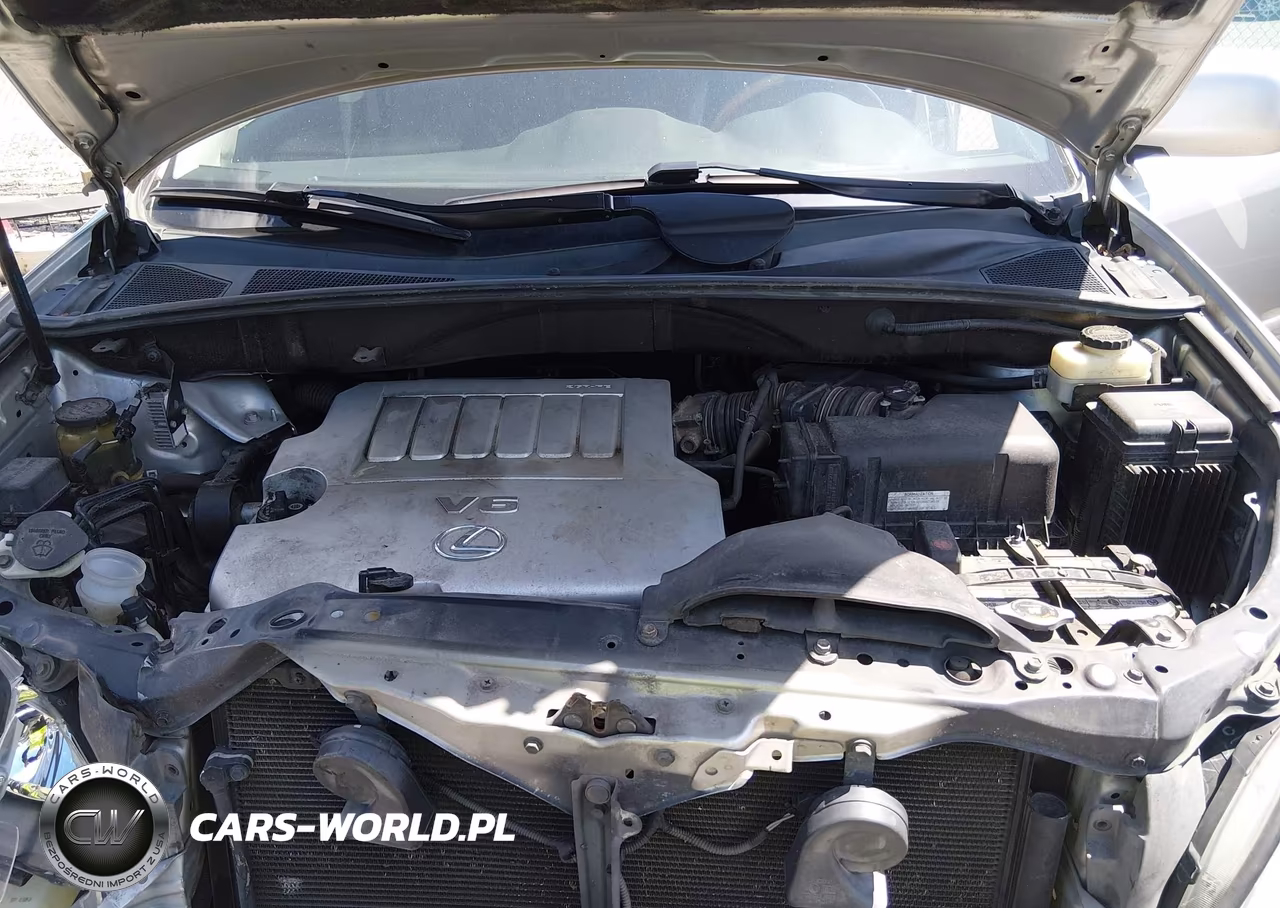 2009 Lexus Rx 350 VIN:2T2GK31U99C076262 - 10