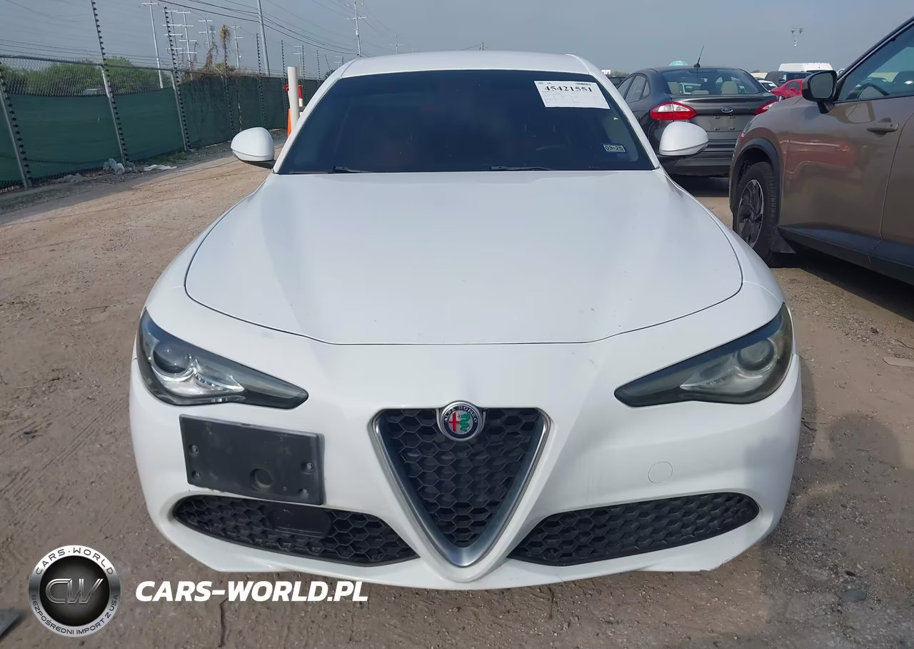 2017 Alfa Romeo Giulia Rwd VIN:ZARFAEBN6H7551894 - 12