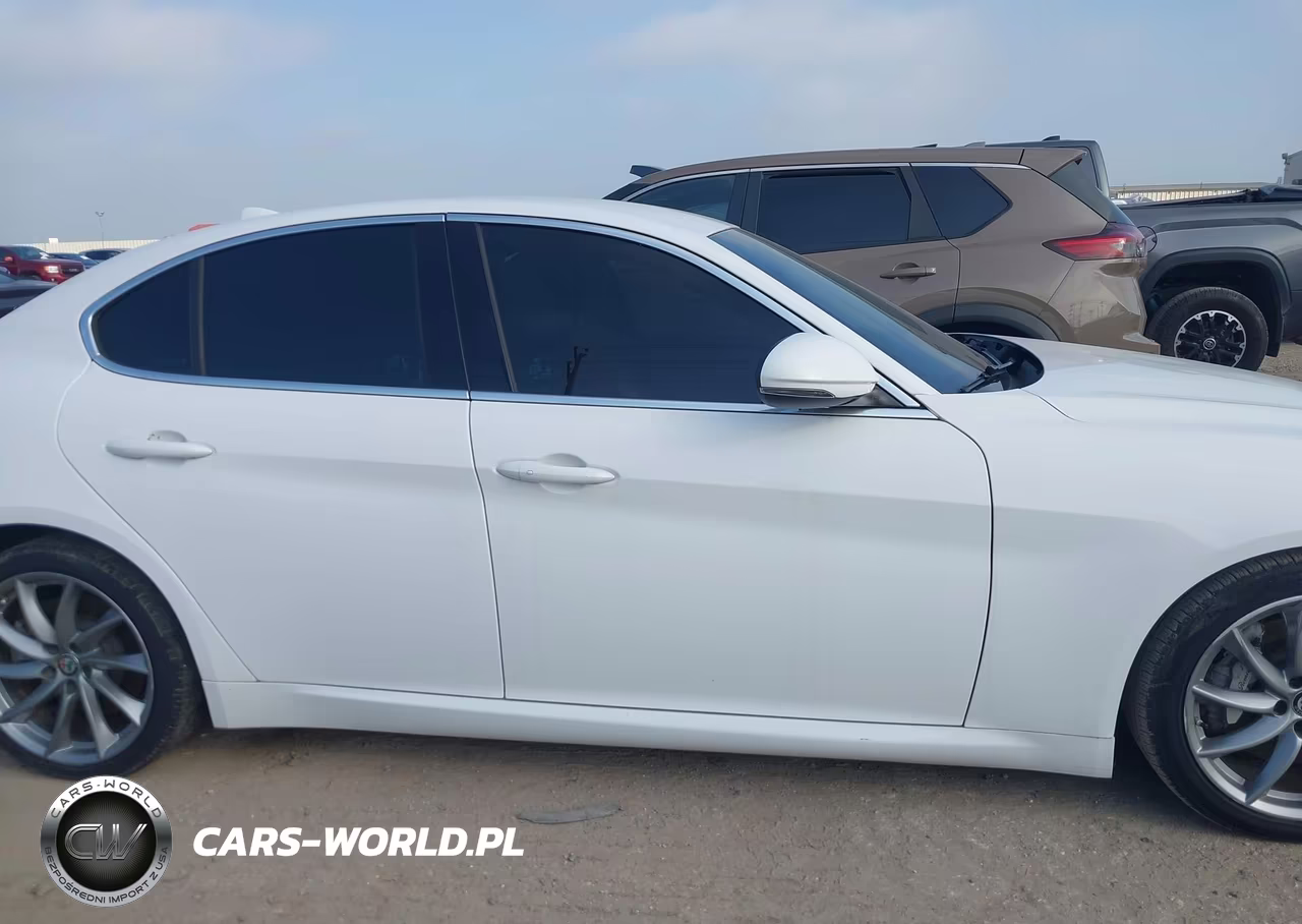 2017 Alfa Romeo Giulia Rwd VIN:ZARFAEBN6H7551894 - 13