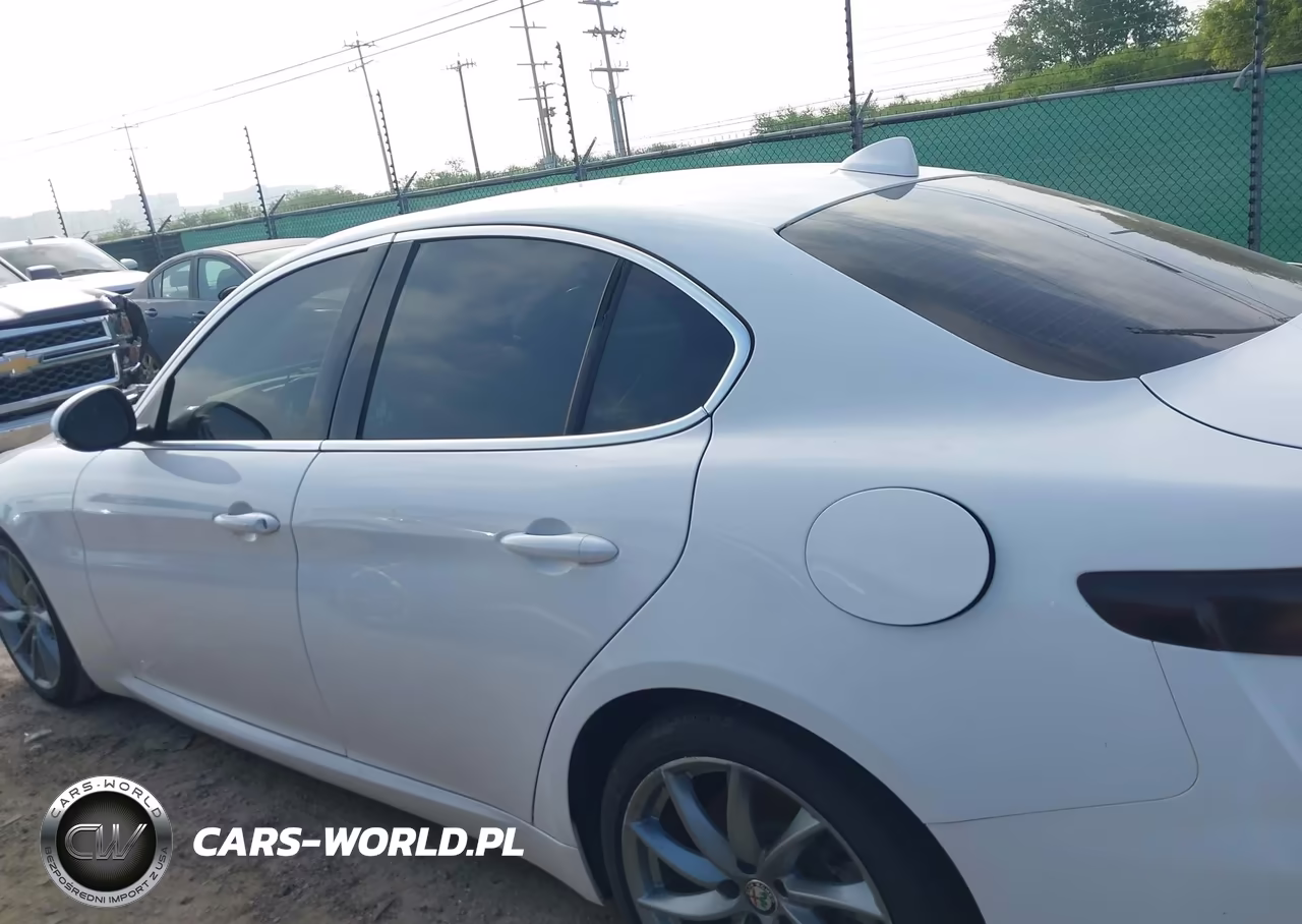 2017 Alfa Romeo Giulia Rwd VIN:ZARFAEBN6H7551894 - 14