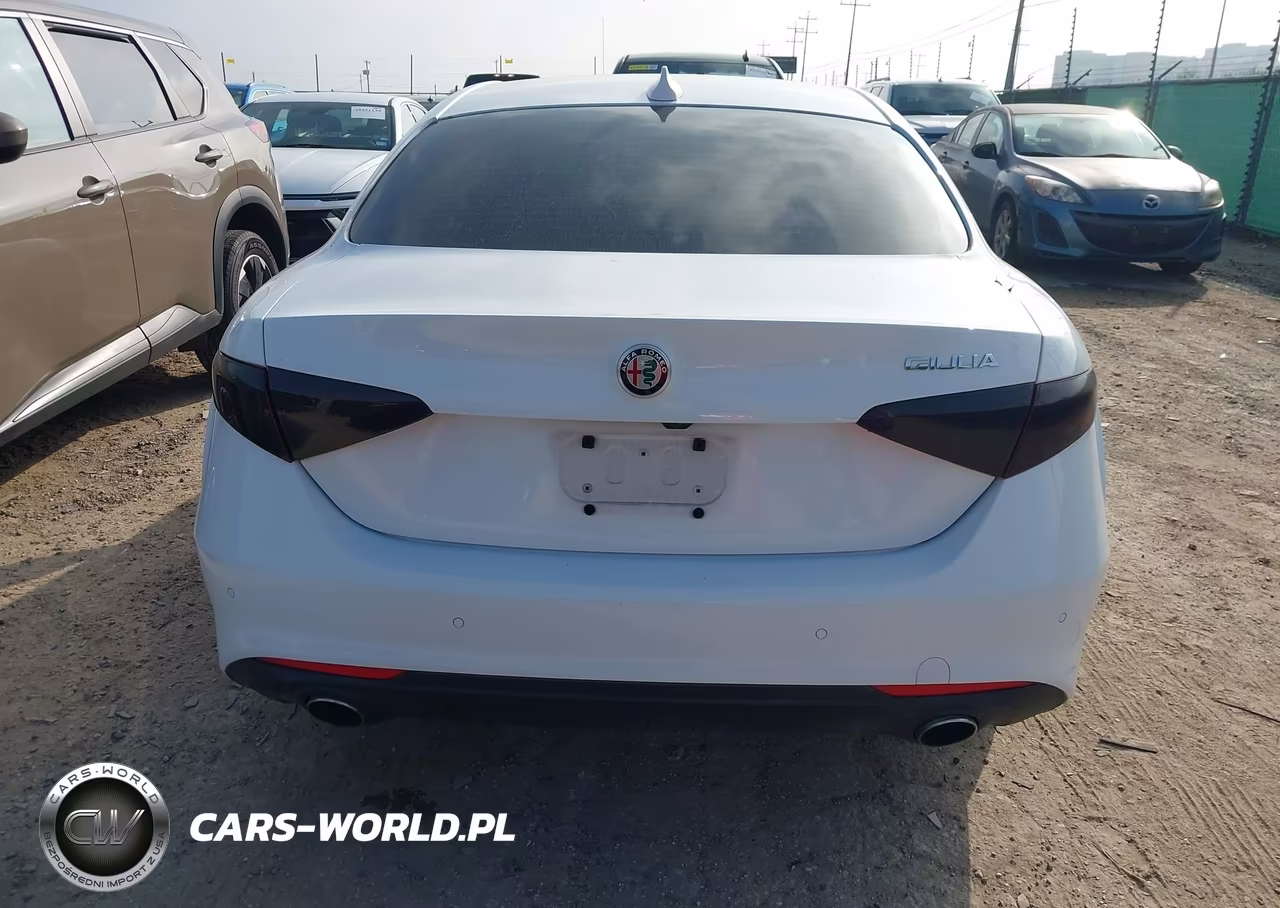 2017 Alfa Romeo Giulia Rwd VIN:ZARFAEBN6H7551894 - 16