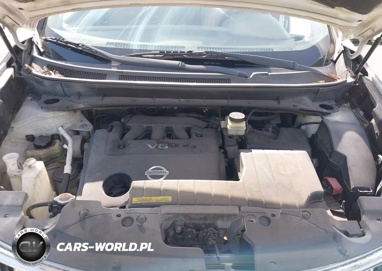 2009 Nissan Murano S VIN:JN8AZ18U99W100135 - 10