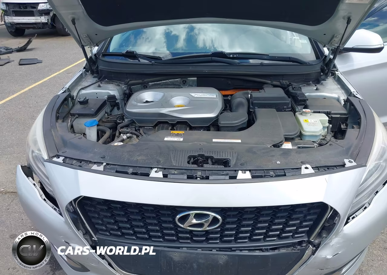 2016 Hyundai Sonata Hybrid Se VIN:KMHE24L1XGA029730 - 10