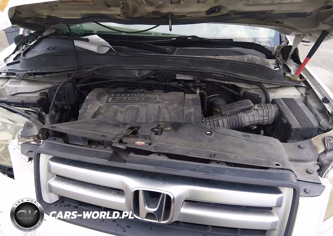 2006 Honda Pilot Ex-L VIN:5FNYF28586B019306 - 10