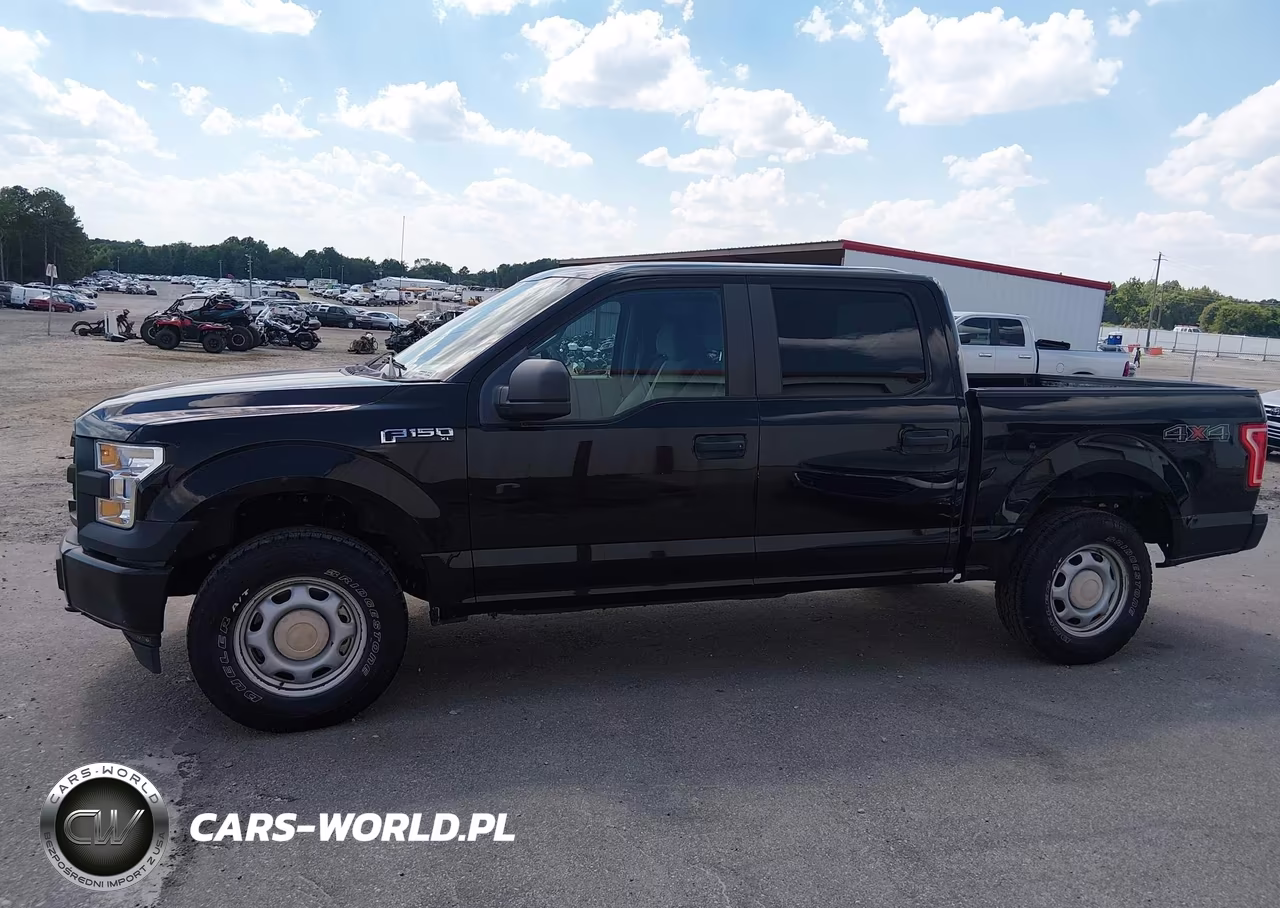 2017 Ford F-150 Xl-Xlt VIN:1FTEW1E82HKE26183 - 16