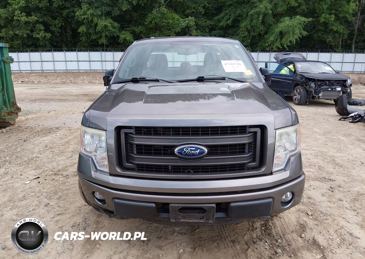 2013 Ford F-150 Stx VIN:1FTFX1CF0DKG16643 - 12