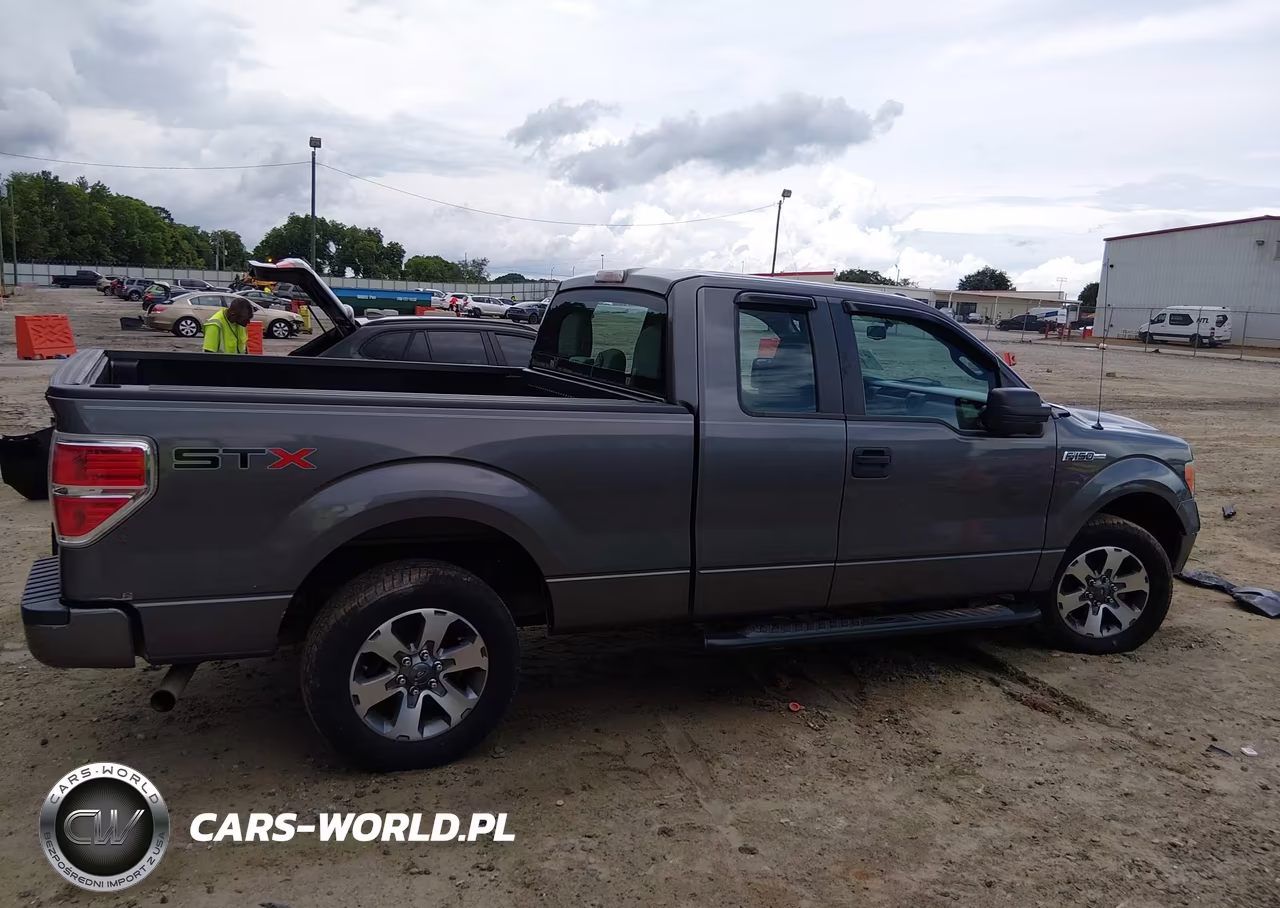 2013 Ford F-150 Stx VIN:1FTFX1CF0DKG16643 - 13