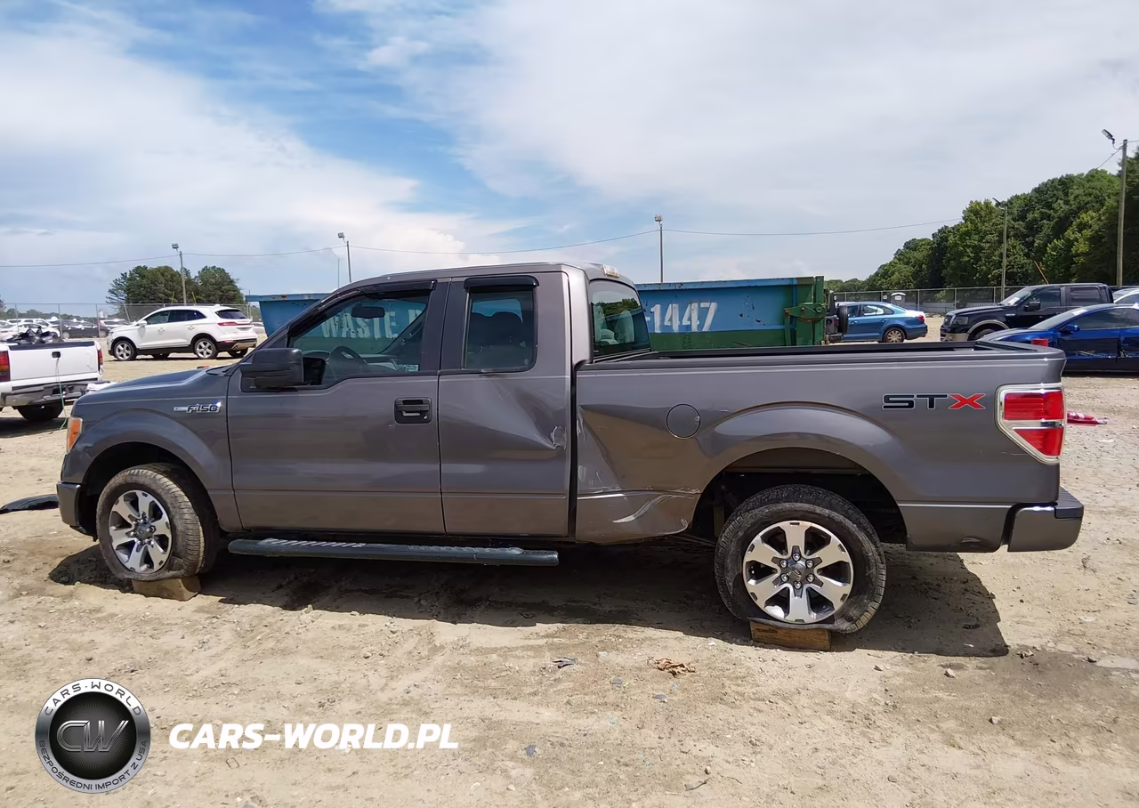 2013 Ford F-150 Stx VIN:1FTFX1CF0DKG16643 - 14