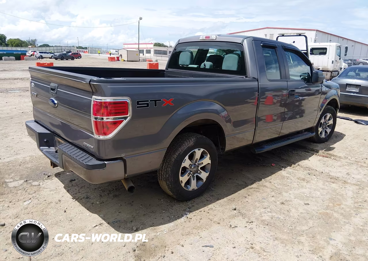 2013 Ford F-150 Stx VIN:1FTFX1CF0DKG16643 - 4