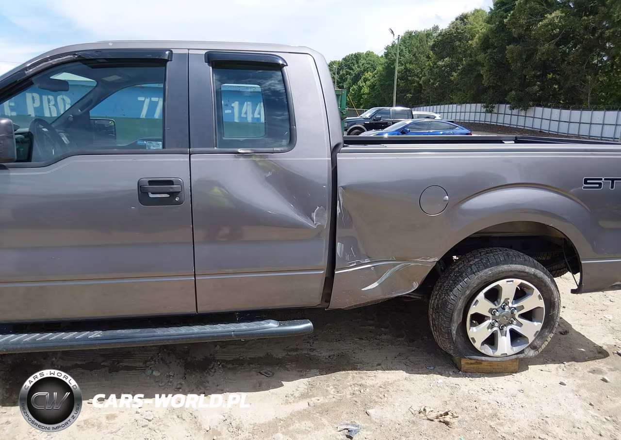 2013 Ford F-150 Stx VIN:1FTFX1CF0DKG16643 - 6