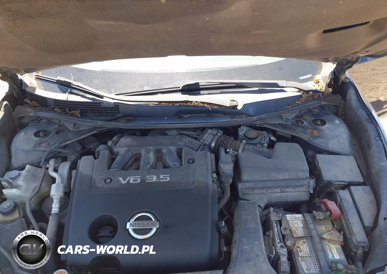2013 Nissan Altima 3.5 Sv VIN:1N4BL3AP8DC170887 - 10