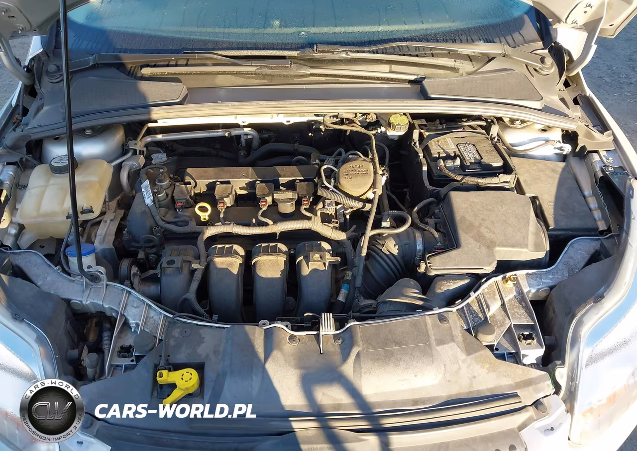 2013 Ford Focus Se VIN:1FADP3K27DL374810 - 10