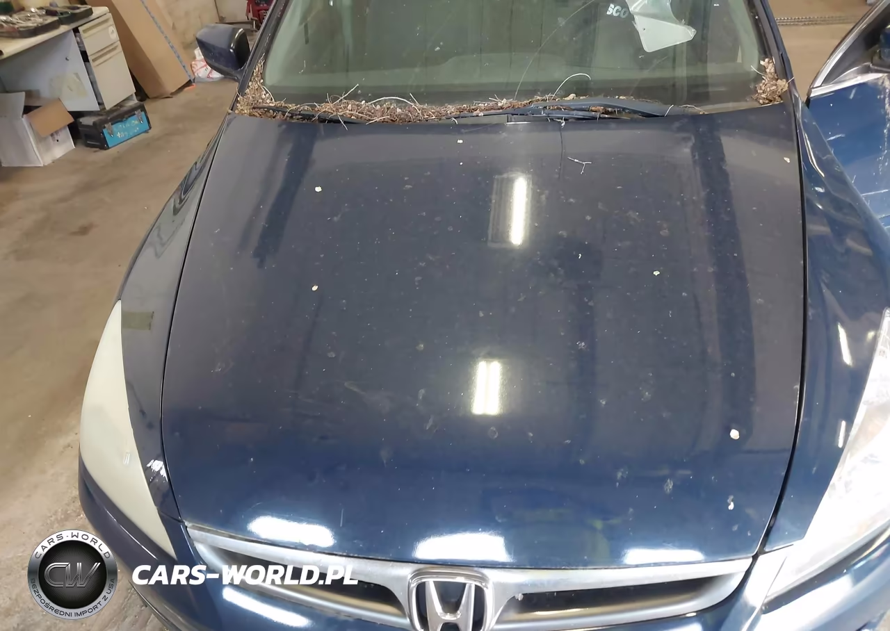 2007 Honda Accord 2.4 Lx VIN:3HGCM56477G704602 - 10