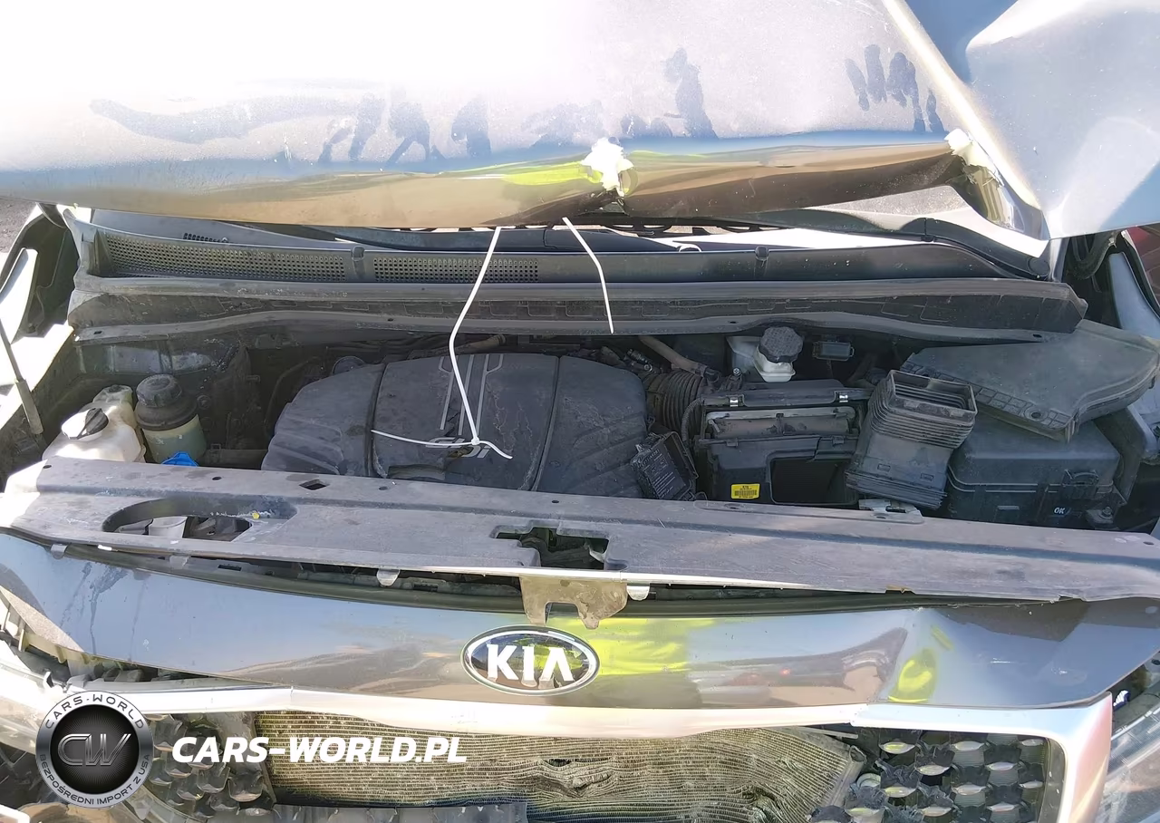 2017 Kia Sedona Lx VIN:KNDMB5C19H6326157 - 10