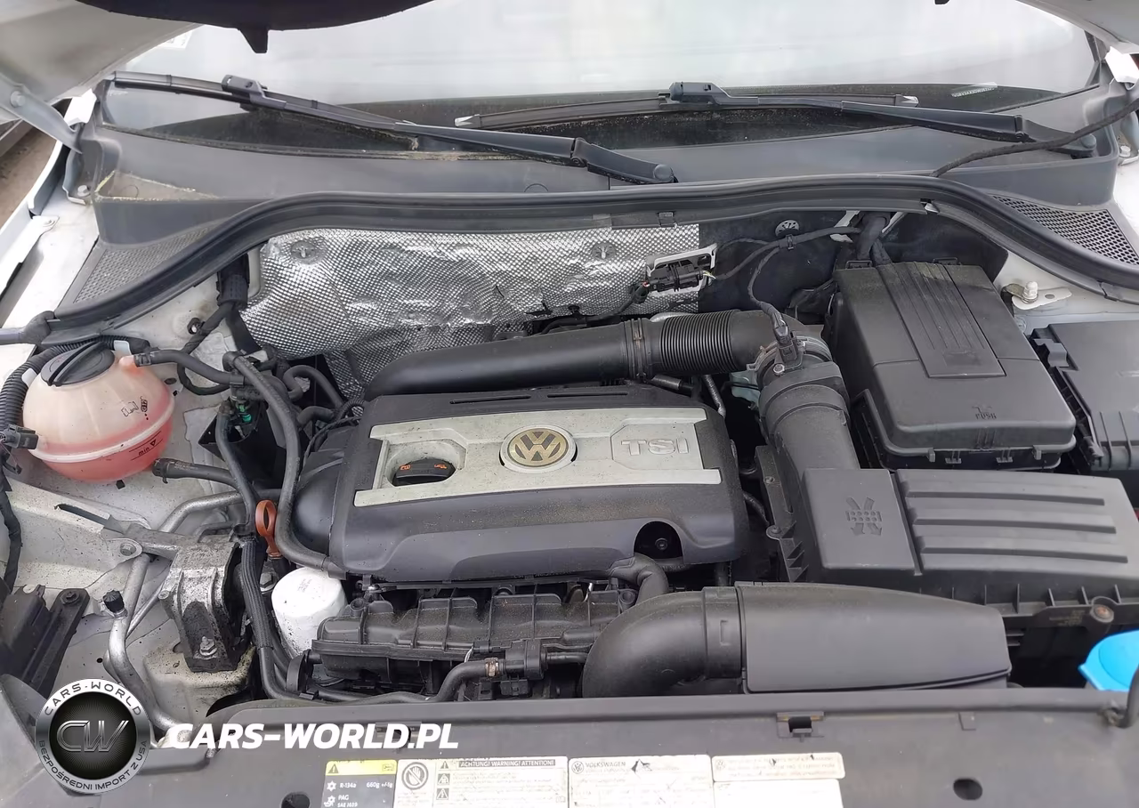 2013 Volkswagen Tiguan Se VIN:WVGBV3AX3DW057170 - 10