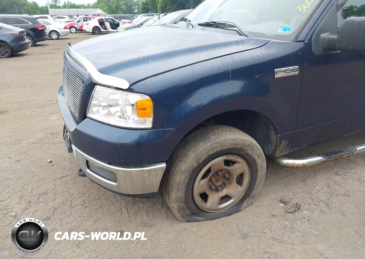 2005 Ford F-150 Fx4-Lariat-Xl-Xlt VIN:1FTPX14525NB21290 - 6