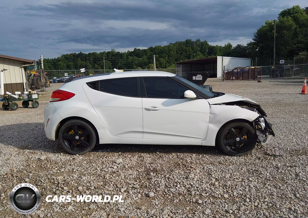 2014 Hyundai Veloster Base W-Black VIN:KMHTC6AD9EU182849 - 13