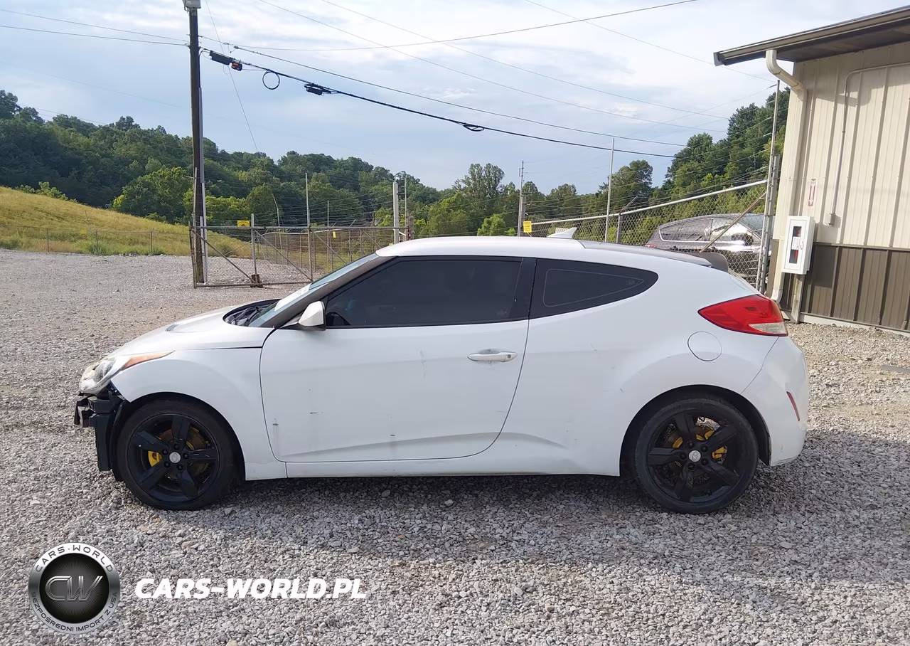 2014 Hyundai Veloster Base W-Black VIN:KMHTC6AD9EU182849 - 14