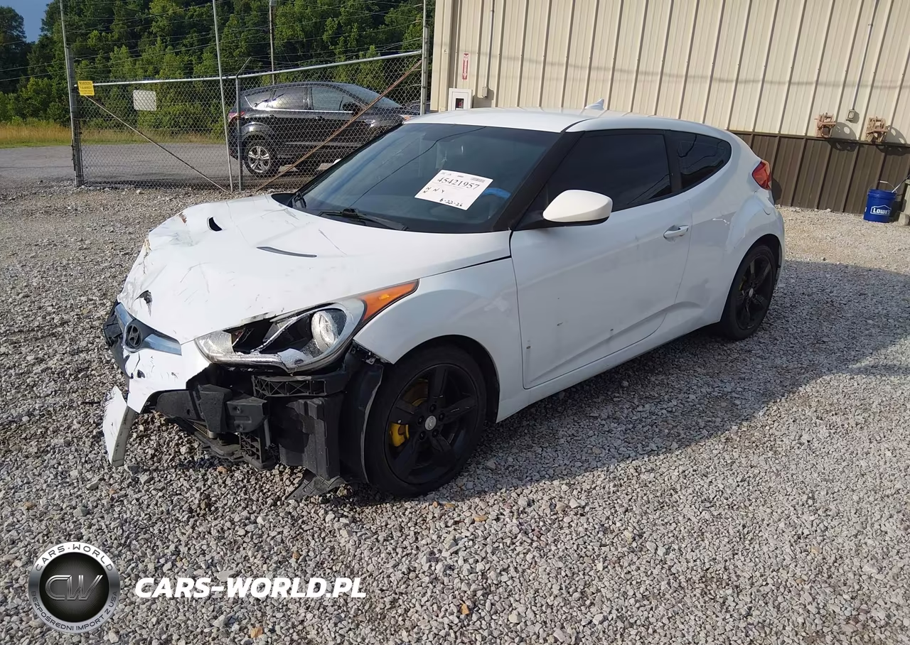 2014 Hyundai Veloster Base W-Black VIN:KMHTC6AD9EU182849 - 2