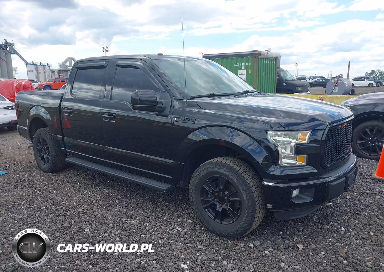 2016 Ford F-150 Xlt – zdjęcie 1 z 17