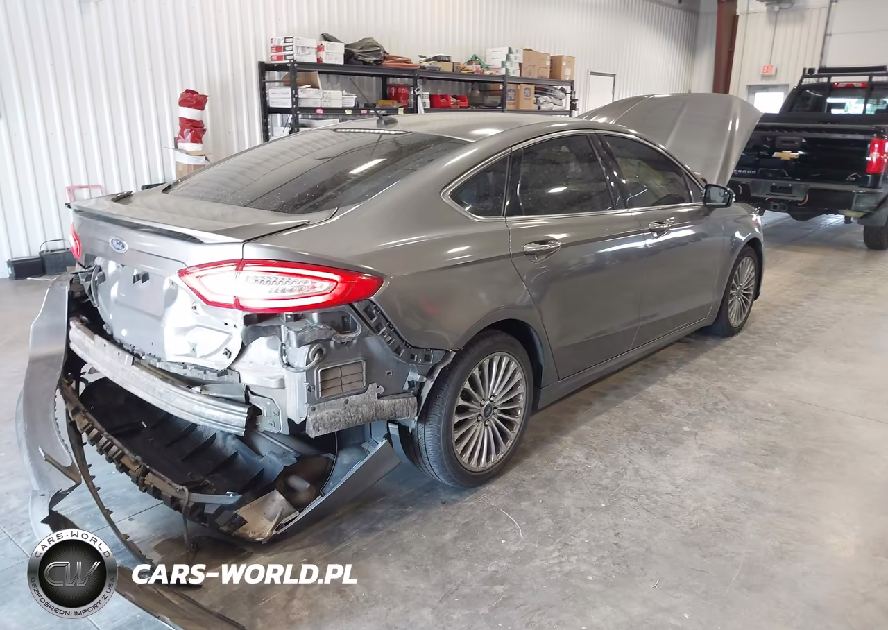 2014 Ford Fusion Titanium VIN:3FA6P0K98ER311447 - 4