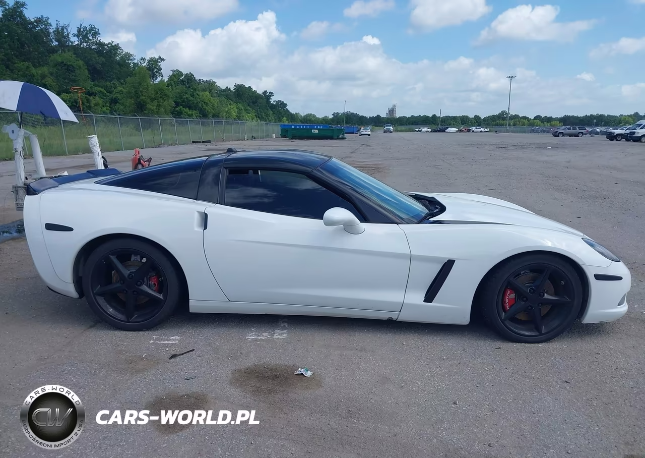 2005 Chevrolet Corvette VIN:1G1YY24U955106146 - 13