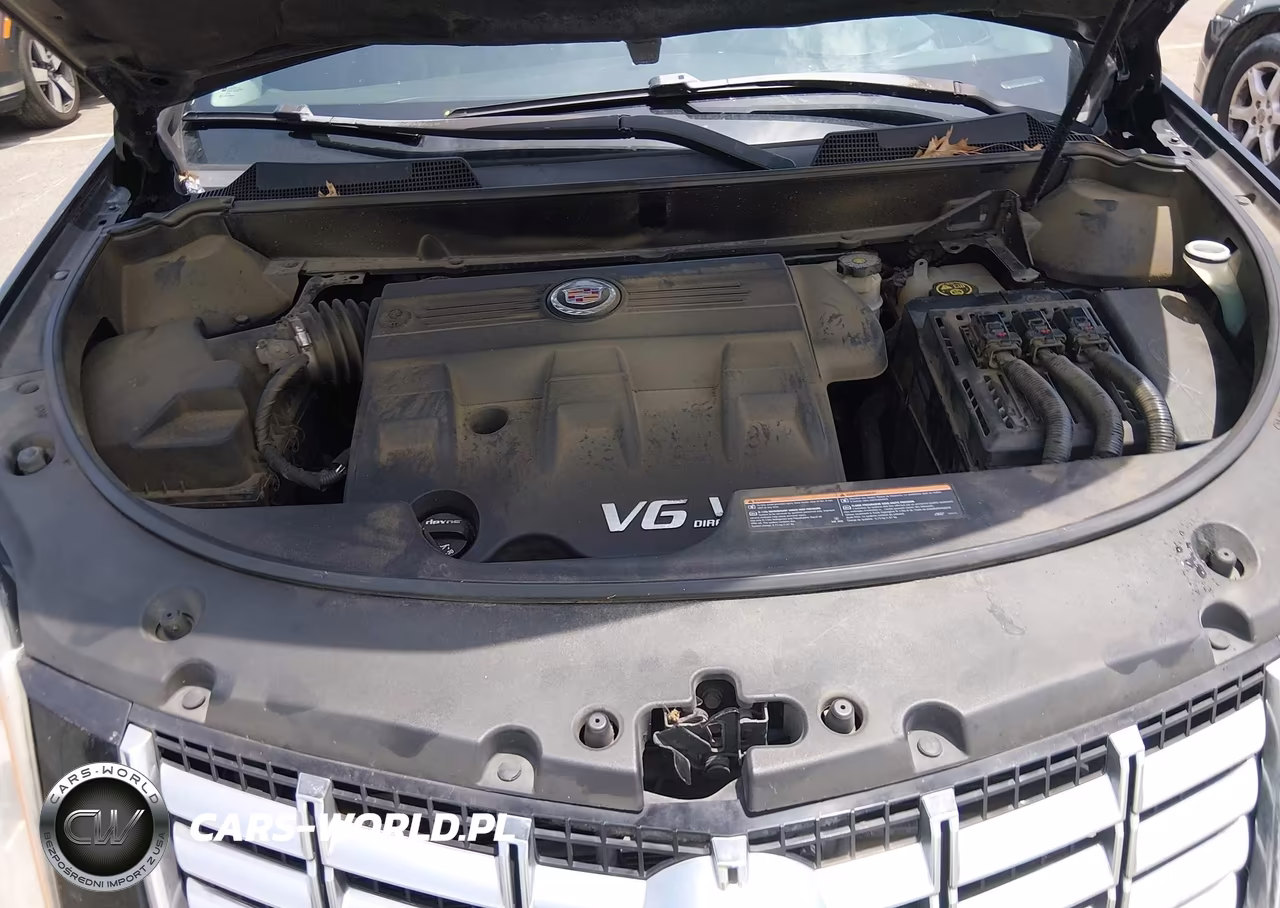 2014 Cadillac Srx Standard VIN:3GYFNAE3XES524254 - 10