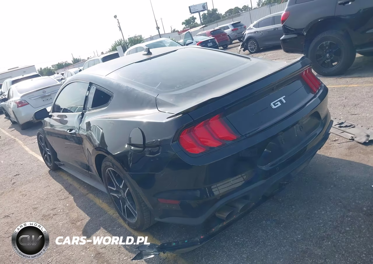 2023 Ford Mustang Gt Premium Fastback VIN:1FA6P8CF2P5300842 - 3