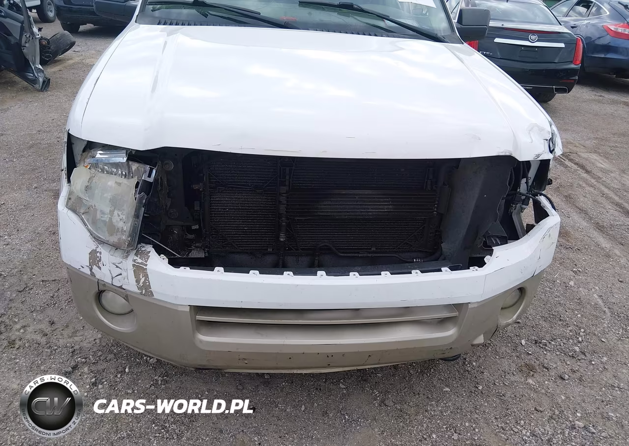 2007 Ford Expedition Eddie Bauer VIN:1FMFU18567LA86262 - 12
