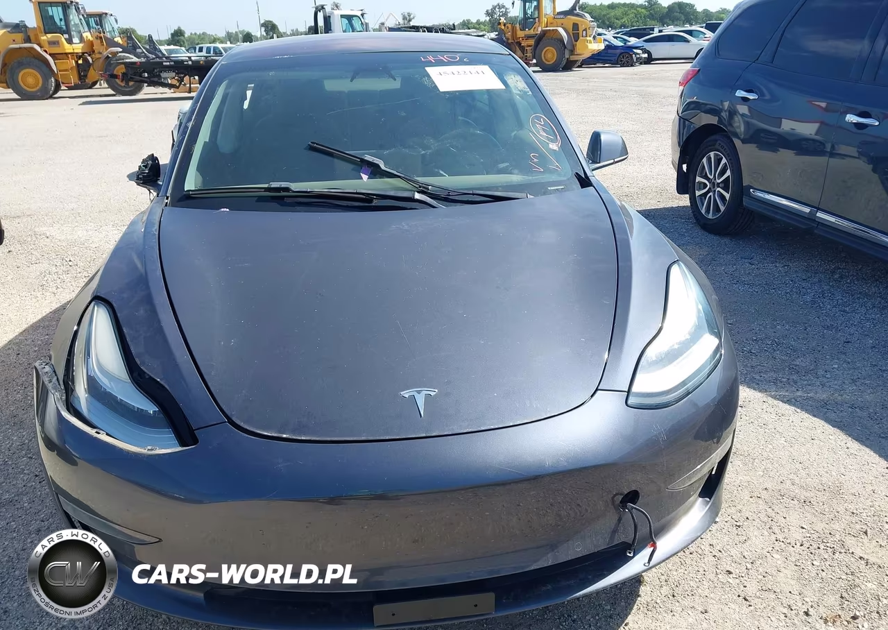 2019 Tesla Model 3 Long Range-Mid Range-Standard Range-Standard Range Plus VIN:5YJ3E1EA8KF308141 - 13