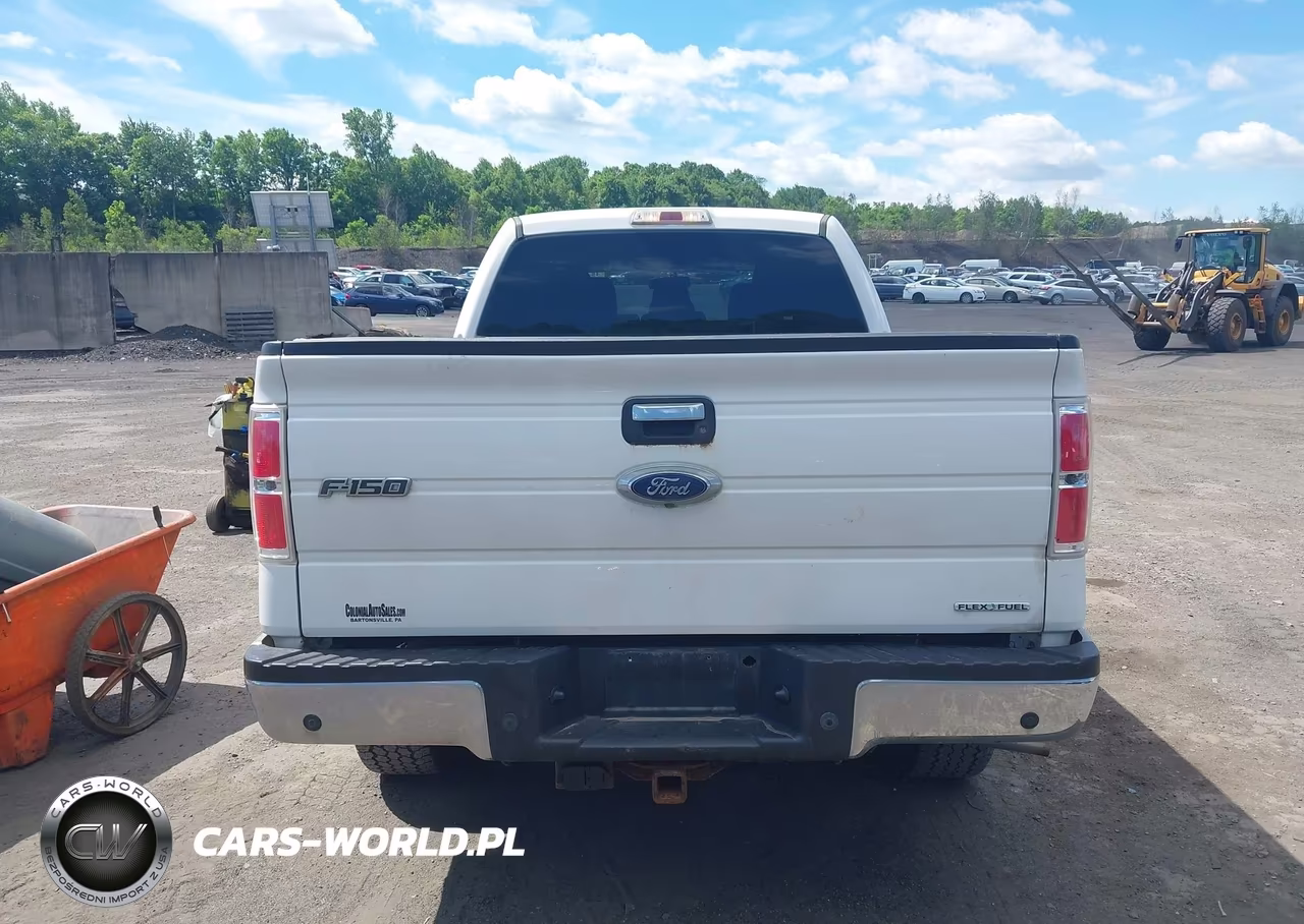2013 Ford F-150 Fx4-King Ranch-Lariat-Platinum-Xl-Xlt VIN:1FTFW1EFXDFD12521 - 16
