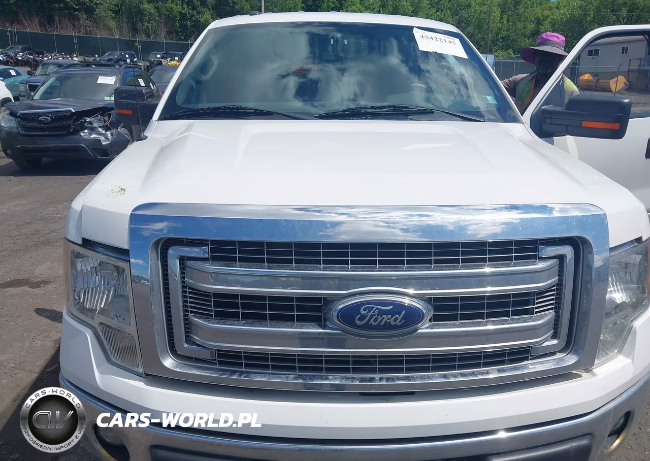 2013 Ford F-150 Fx4-King Ranch-Lariat-Platinum-Xl-Xlt VIN:1FTFW1EFXDFD12521 - 6
