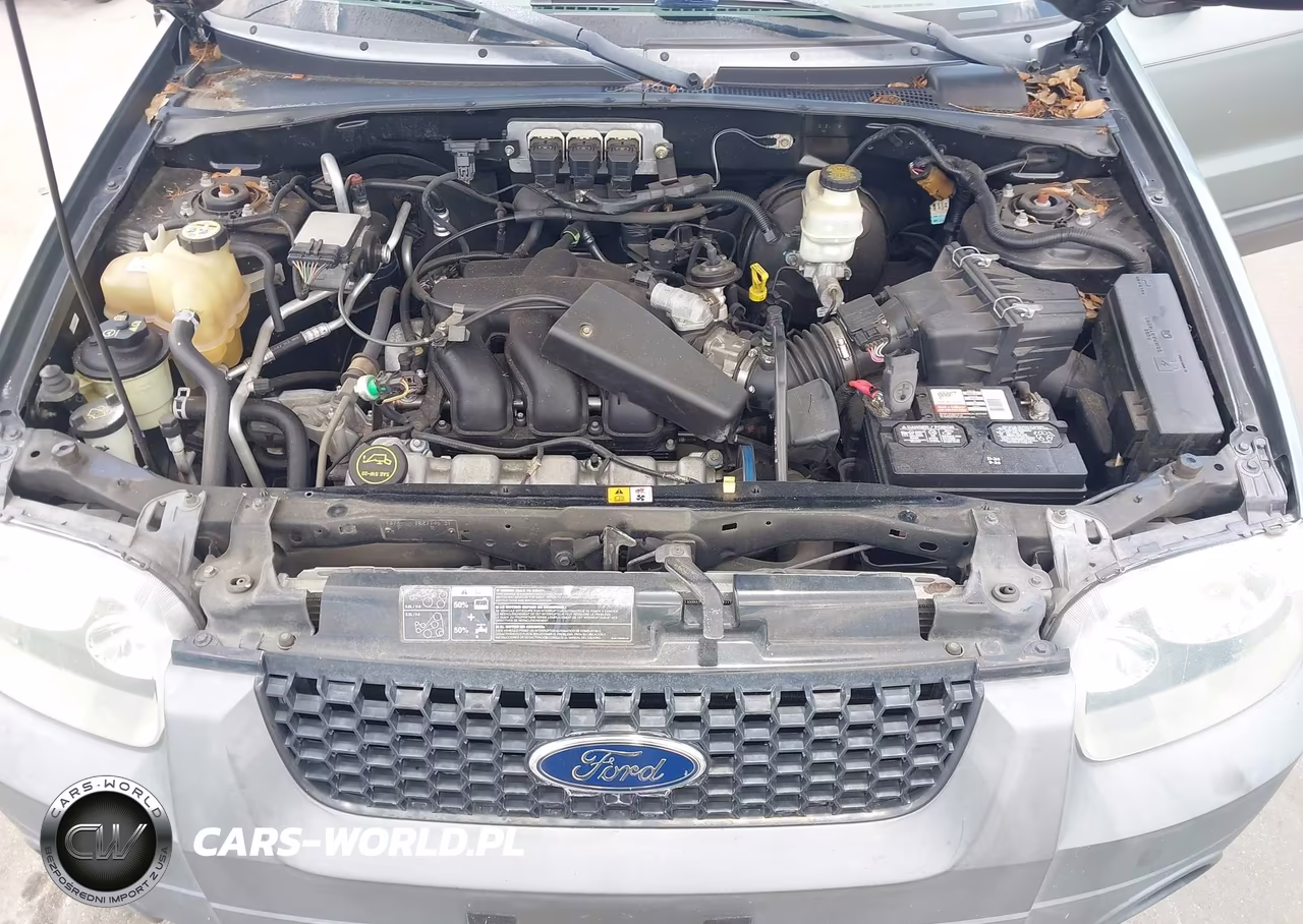 2005 Ford Escape Xlt VIN:1FMYU03175KB06996 - 10