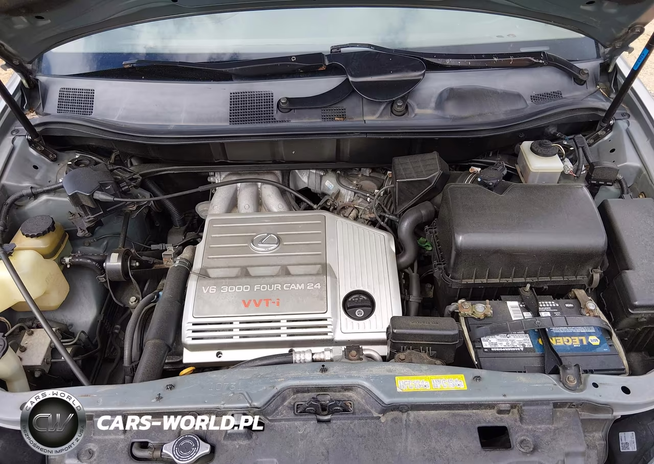 2000 Lexus Rx 300 VIN:JT6HF10U0Y0116327 - 10