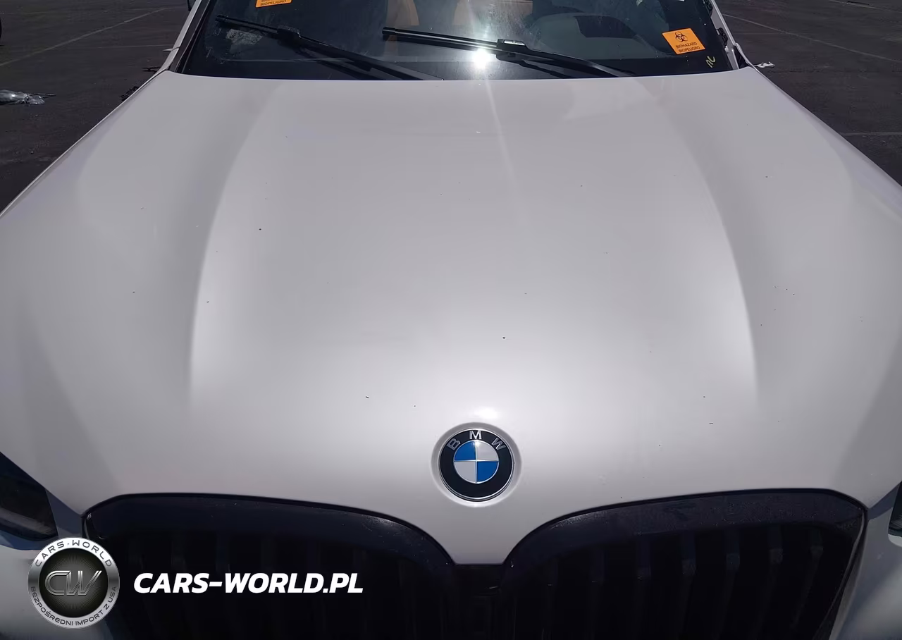 2023 BMW X3 xDrive30I VIN:WBX57DP06PN228888 - 10