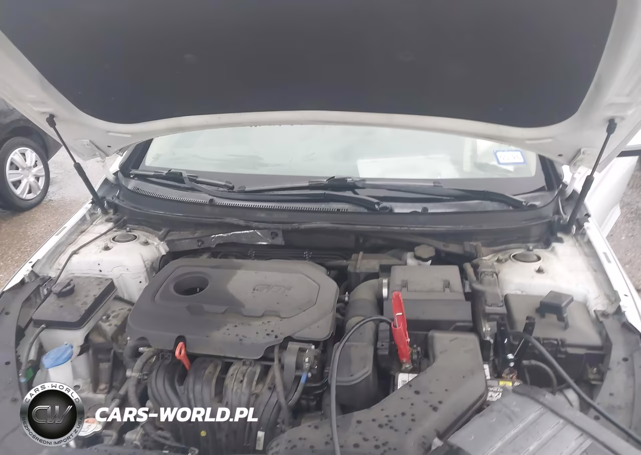2019 Hyundai Sonata Limited VIN:5NPE34AF9KH789990 - 10