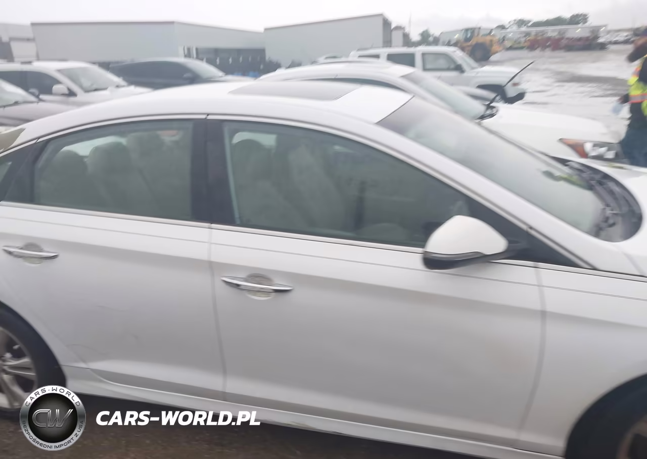 2019 Hyundai Sonata Limited VIN:5NPE34AF9KH789990 - 12