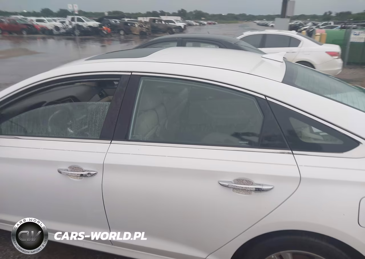 2019 Hyundai Sonata Limited VIN:5NPE34AF9KH789990 - 13